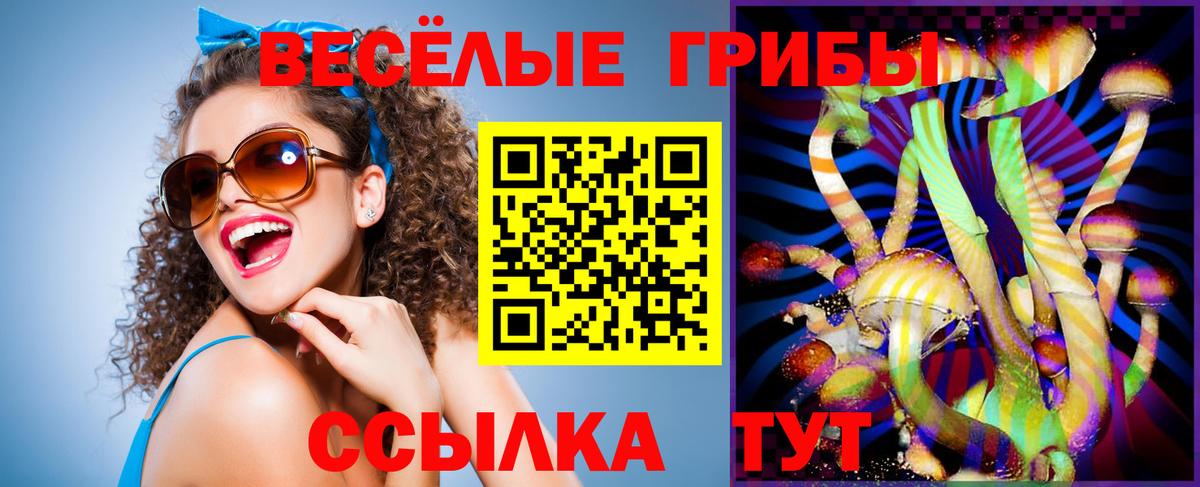 Галлюциногенные грибы Psilocybine cubensis Курганинск